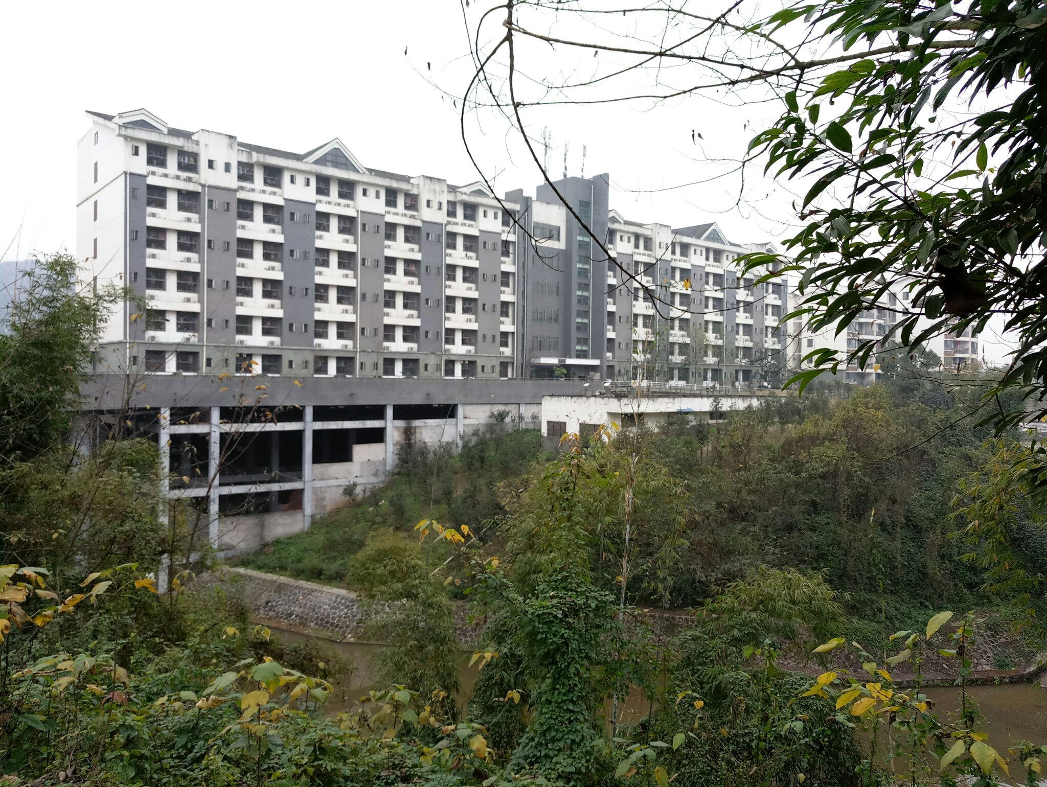 包含Ning泸州老窖天府中学后续来了的词条 包含Ning泸州老窖天府中学后续来了的词条